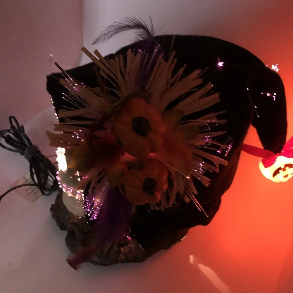 Fiber Optic Halloween Skull With Black Hood Creative Designs